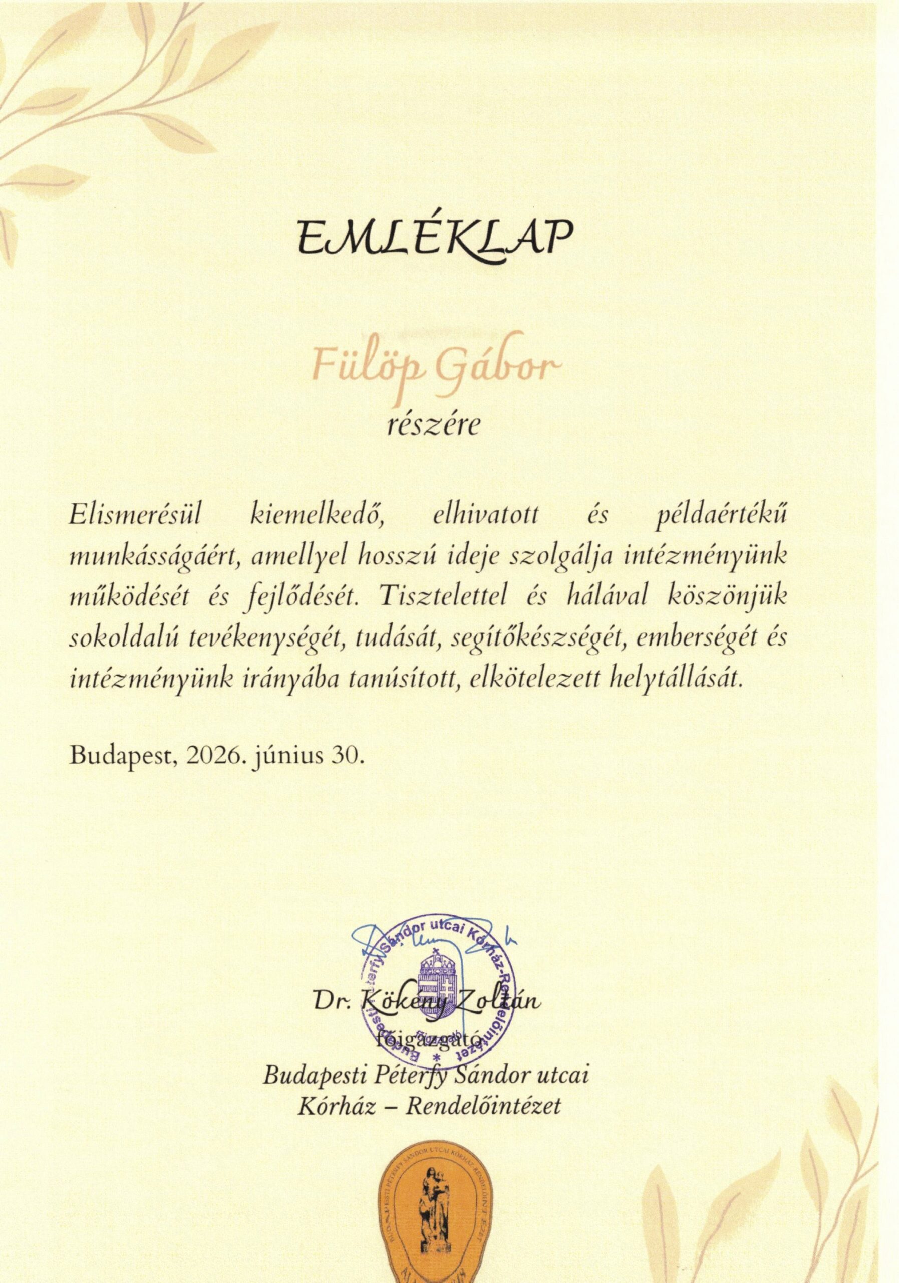 Elismerést kapott a B+N Péterfy Sándor Utcai Kórház telephelyvezetője, Fülöp Gábor